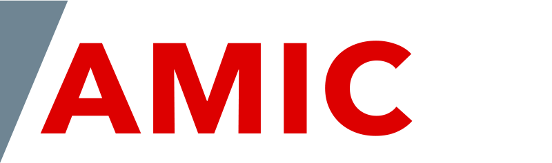 Encuentro AMIC 36