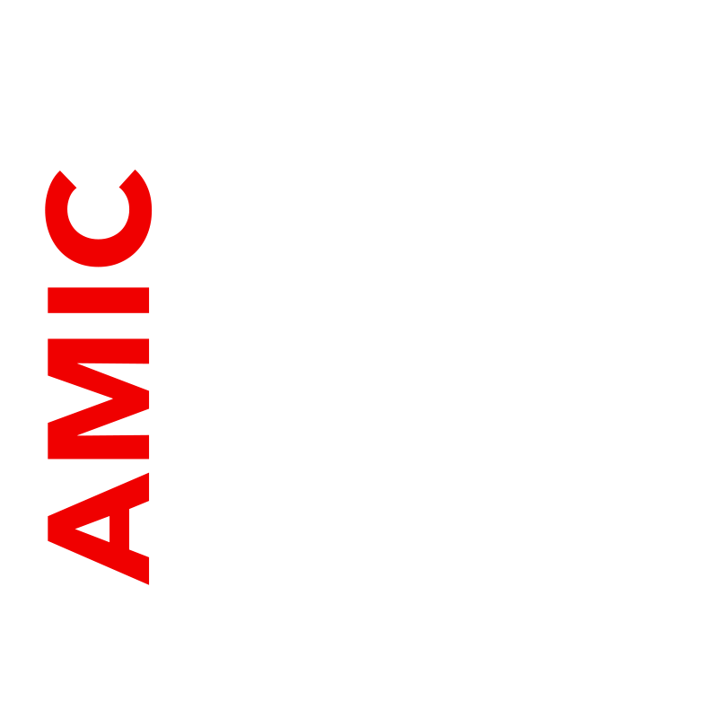 Encuentro AMIC 36